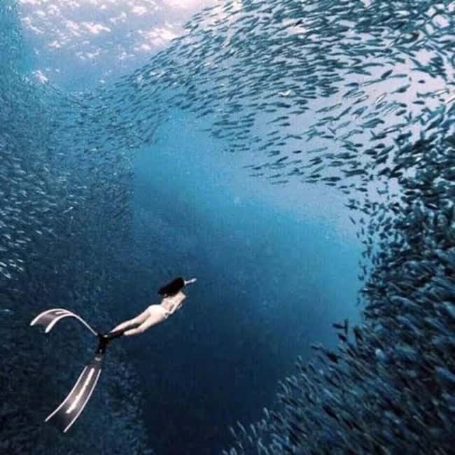 image n.11 of Cebu: Moalboal Sardines Run Snorkel & Kawasan Canyoneering activity in Badian, uploaded by supplier
