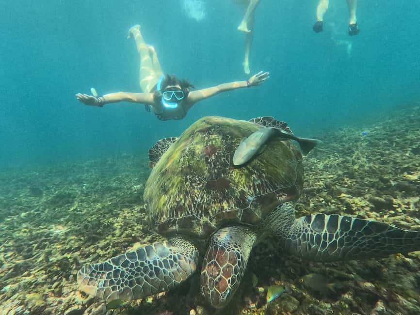 billede nr.28 af aktiviteten Koh Tao: Koh Nangyuan & Hidden Bays snorkeltur med frokost i Thailandbugten, uploadet af udbyder
