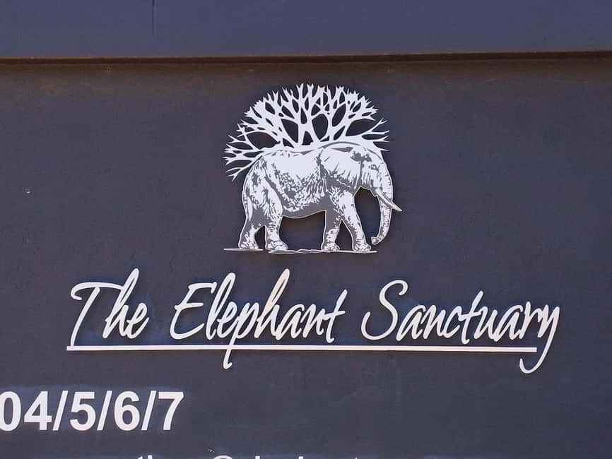 image n.15 of Lion park activity in Hartbeespoort, uploaded by supplier