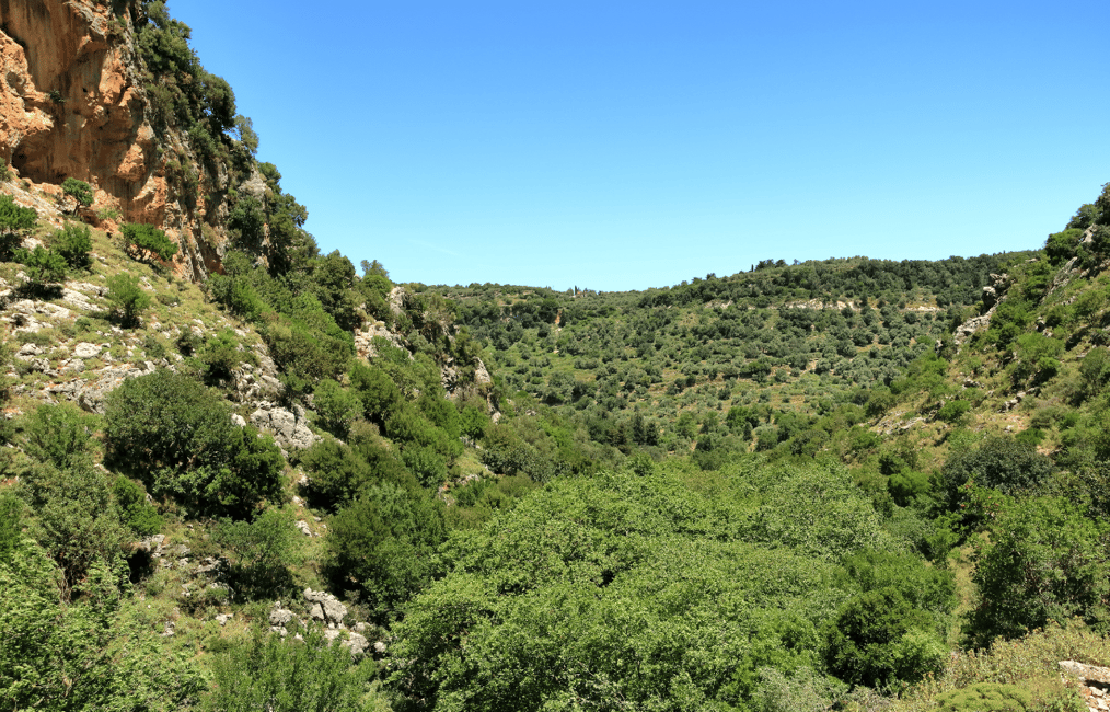 Immagine nº 13 di Fuoristrada: lago naturale, gole di montagna, foresta di palme e spiaggia attività a Kournas, caricata dal fornitore