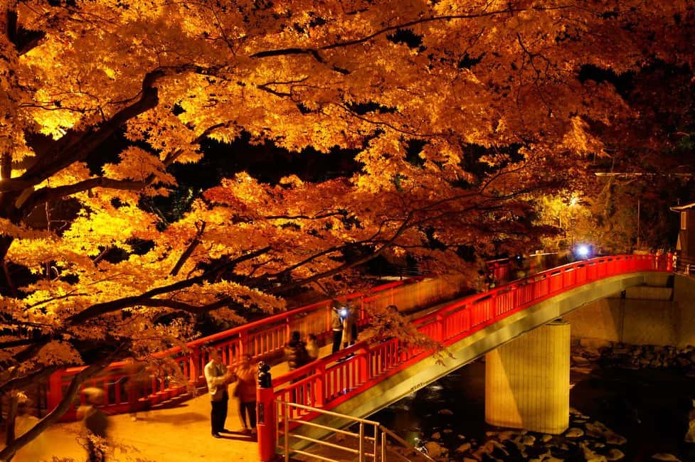 image n.6 of From Nagoya: Obara Shiki-Zakura and Korankei Autumn Trip activity in Nagoya, uploaded by supplier