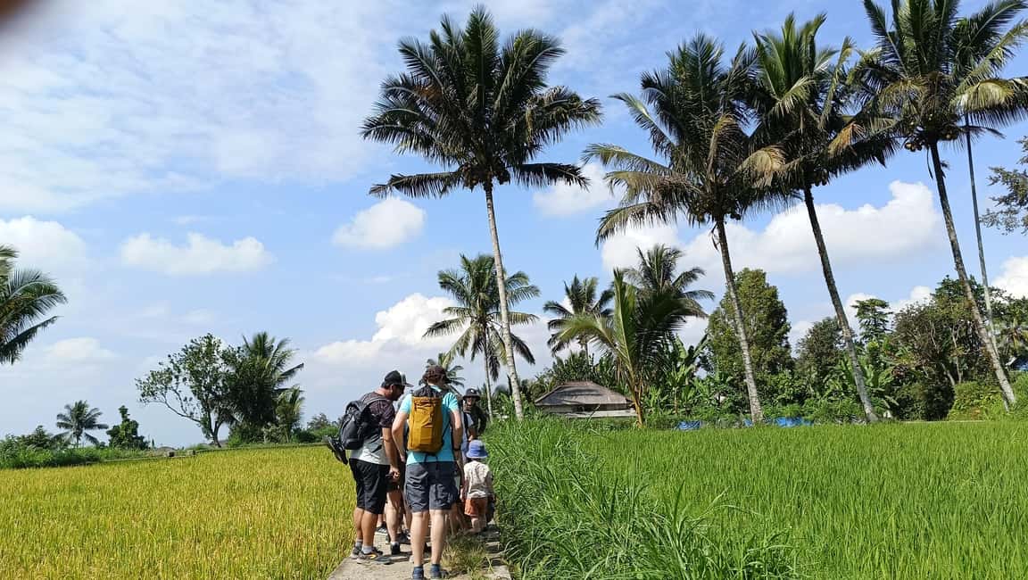 image n.3 of Lombok: Tetebatu Village and Rice Fields Guided Tour activity in West Nusa Tenggara, uploaded by supplier
