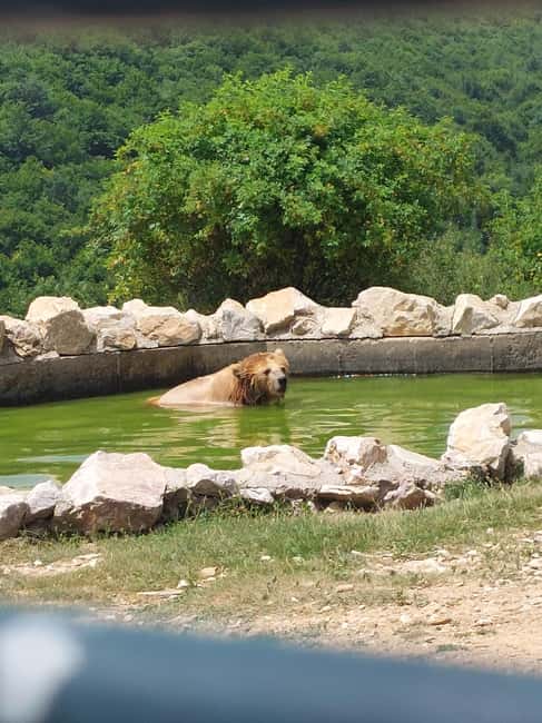image n.7 of Skopje: Prishtina, Gracanica Monastery & Bear Sanctuary Trip activity in Pristina, uploaded by supplier