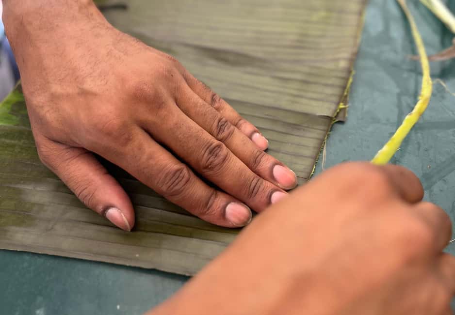 Image N°8 de Cours de cuisine à Mérida, le goût du Yucatan activité à Mérida, publiée par le prestataire