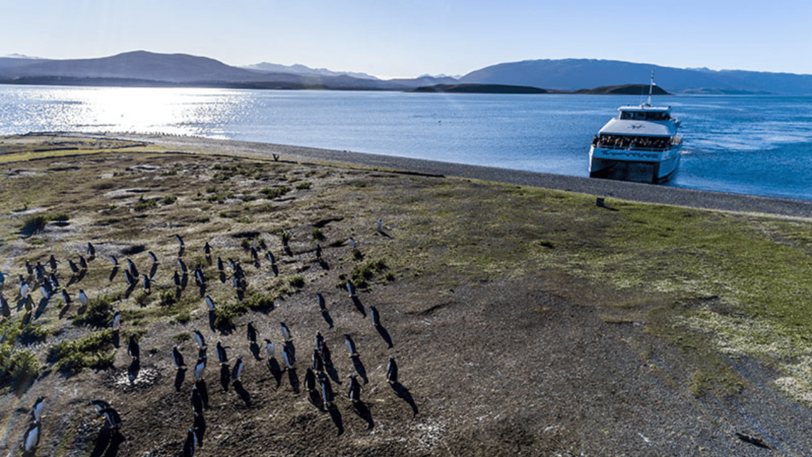 image n.5 of Ushuaia: Beagle Channel and Penguin Island activity in Ushuaia, uploaded by supplier