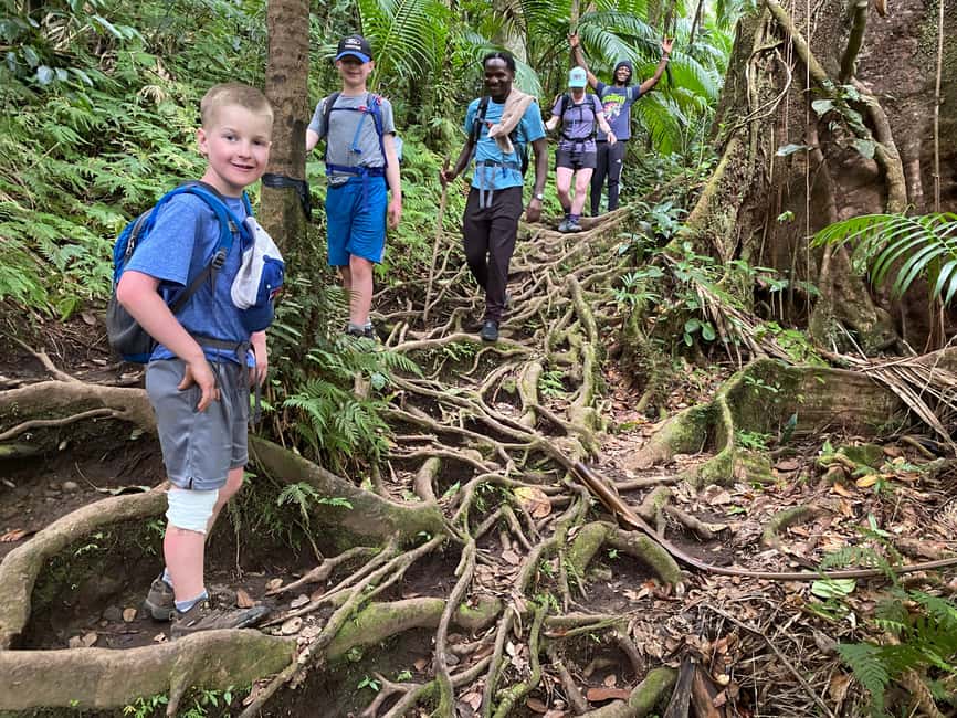 image n.11 of Hike St. Kitts: Highest peak Mount Liamuiga Volcano activity in Nevis, uploaded by supplier