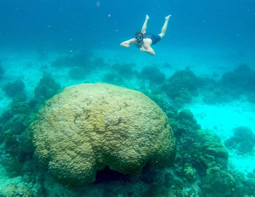 image n.6 of Koh Tao: Private Longtail Snorkel Tour with Nang Yuan Visit activity in Ko Tao, uploaded by supplier