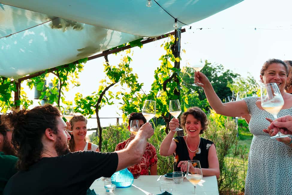 Immagine nº 12 di Trieste: Tour delle origini del Prosecco e degustazioni di 2,5 ore attività a Trieste, caricata dal fornitore