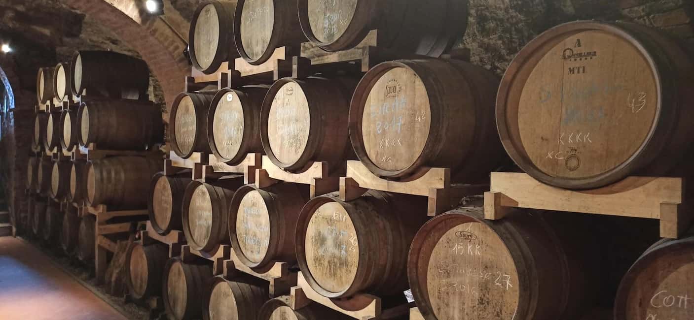 image n.17 of Visit Pisa & Lucca with lunch in a family-run winery activity in Pisa, uploaded by supplier