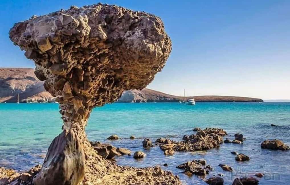 image n.6 of Los Cabos: Incredible Private Tour to Balandra activity in La Paz, Mexico, uploaded by supplier