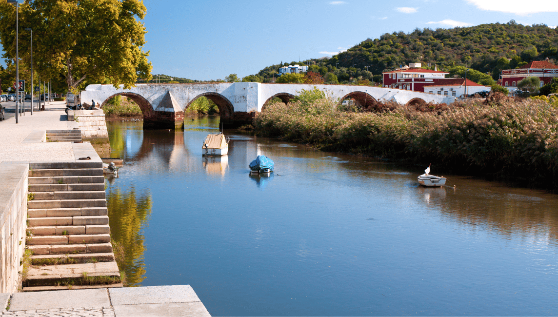 image n.20 of From Albufeira: Full-Day Wine Tasting Tour with a Guide activity in Monchique, uploaded by supplier