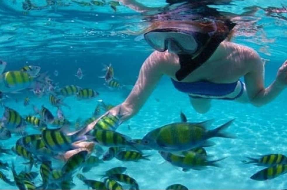 bild nr.3 av Mauritius: Katamarankryssning till 3 nordliga öar med lunch aktivitet i Mauritius, uppladdad av arrangören
