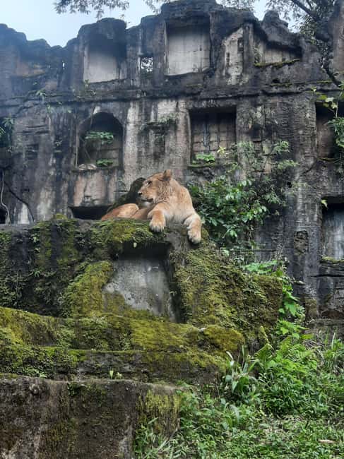 image n.3 of Jakarta : Taman Safari, Panda Palace, and Waterfall activity in Bogor, uploaded by supplier