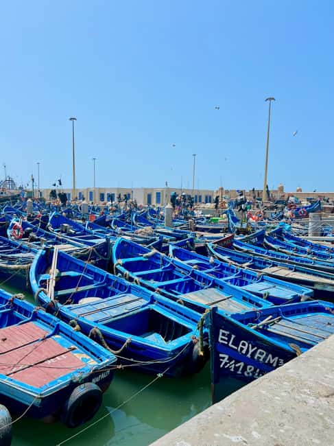image n.15 of Day trip to Essaouira activity in Essaouira, uploaded by supplier