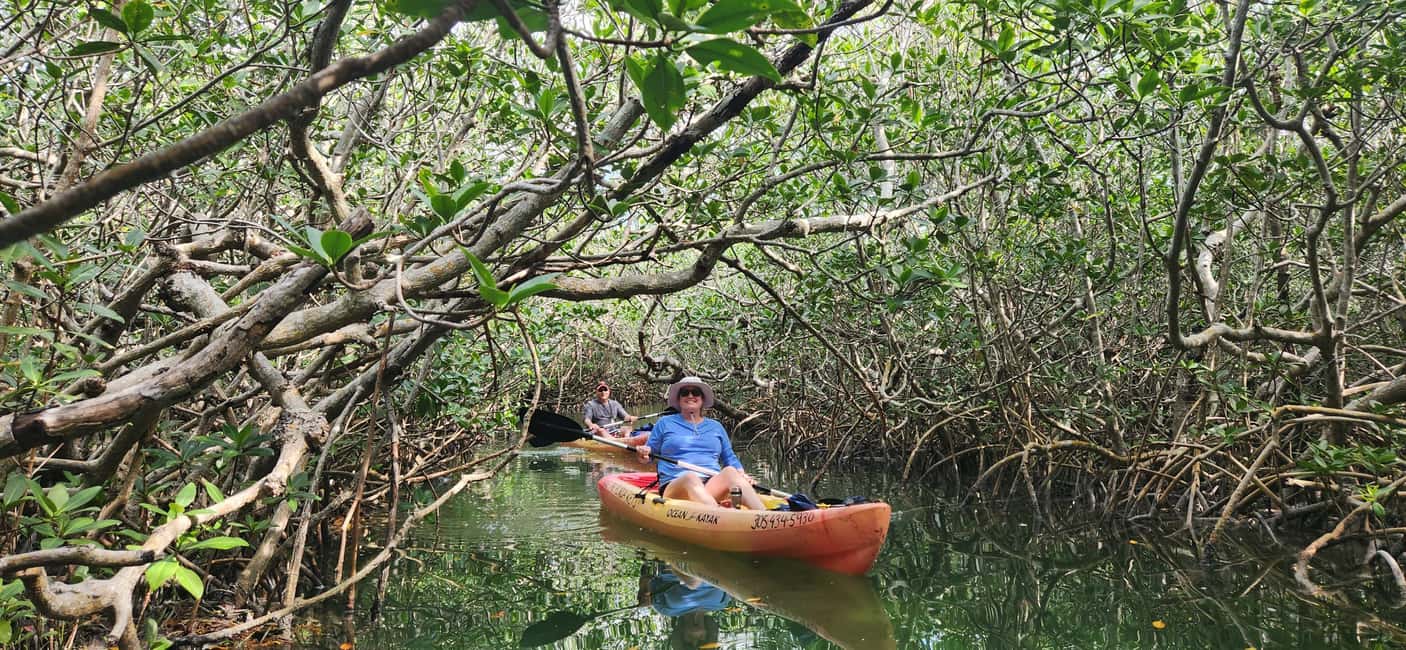 bild nr.5 av Florida Keys: Heldagsäventyr med kajak och snorkling vid korallrev aktivitet i Florida, uppladdad av arrangören