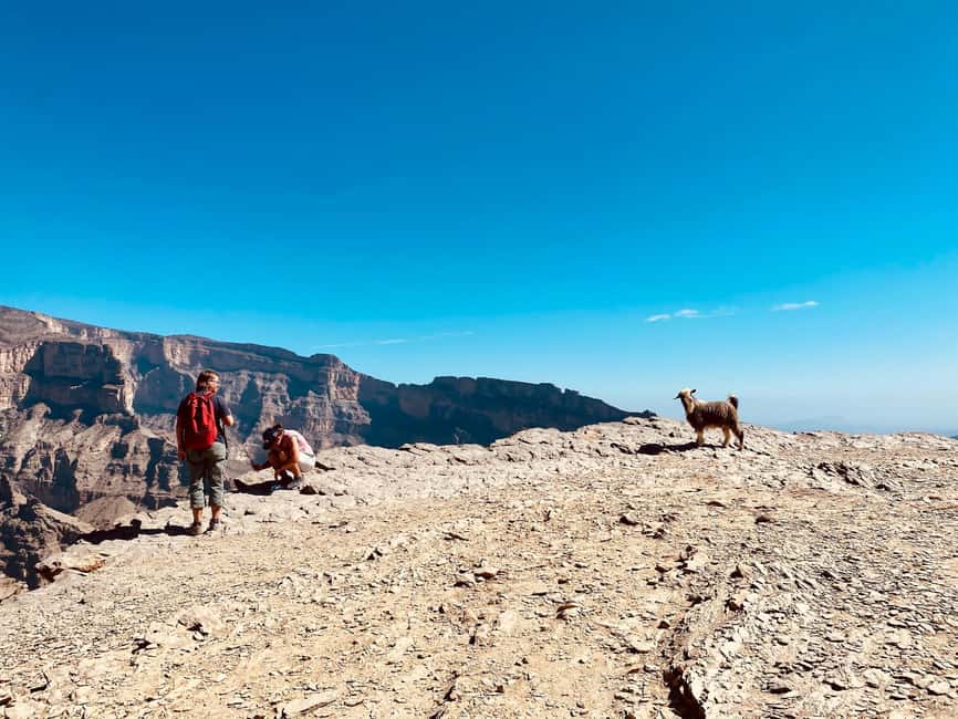 Obraz nr 5 z atrakcji Nizwa: Spacer po balkonie Jebel Shams i przygoda na ferratach w Al Hambra, Oman, przesłany przez organizatora