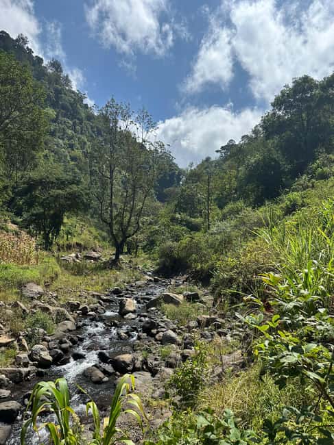 image n.43 of Arusha: Day Trip City,Materuni Waterfall,Coffee & Hot Spring activity in Moshi, uploaded by supplier