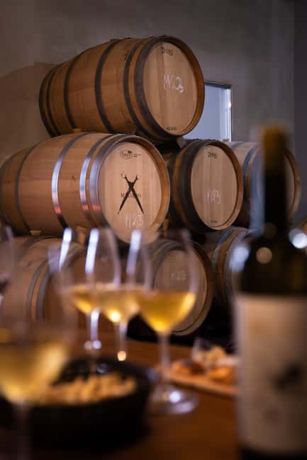 imagen n.º 20 de Málaga: Visita a viñedos y bodegas con 6 vinos de primera y tapas actividad en Málaga, subida por el proveedor