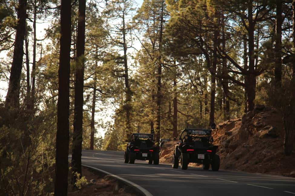 billede nr.17 af aktiviteten Tenerife: Teide Buggy Tour om morgenen eller ved solnedgang i Kanarieøerne, uploadet af udbyder