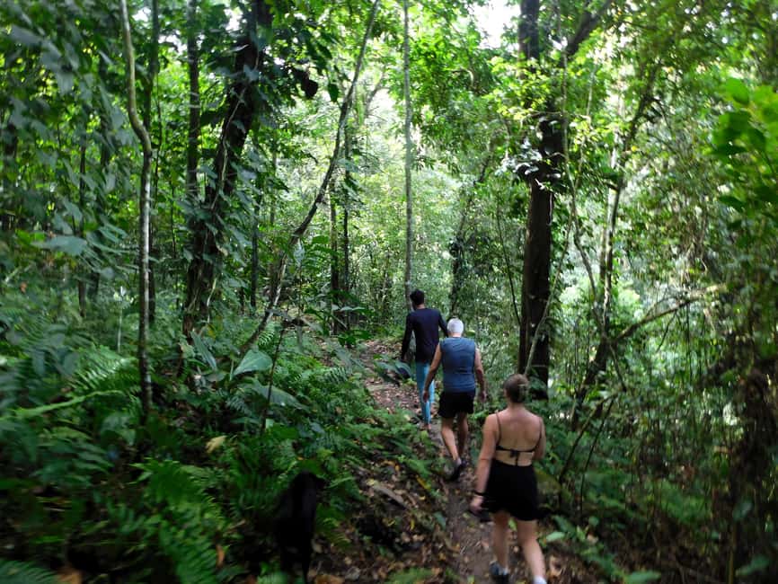 imagem n.11 de Caminhada alternativa de 3 dias na Cidade Perdida atividade em Santa Marta, carregada pelo fornecedor