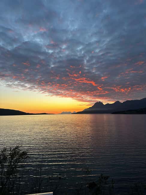 image n.11 of Narvik/Harstad:Day tour of Fjords with stop at Reindeer farm activity in Narvik, uploaded by supplier