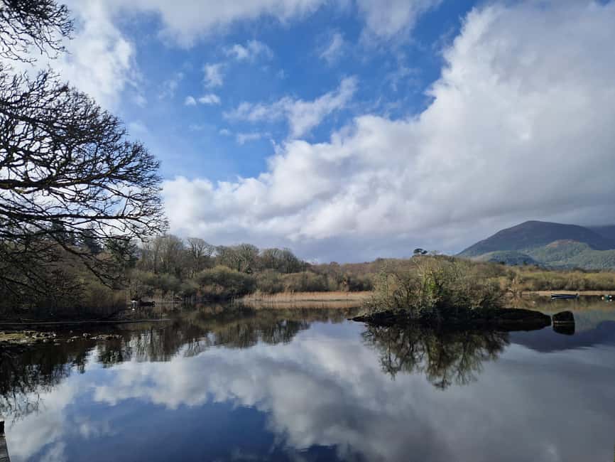 Obraz nr 27 z atrakcji Killarney: Rejs wycieczkowy na wyspę Innisfallen, jeziora Killarney w Munster, przesłany przez organizatora