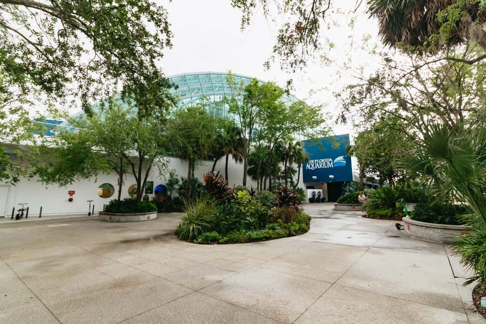 Bild Nr. 20 von Das Florida Aquarium Ticket Aktivität in Tampa, hochgeladen vom Anbieter