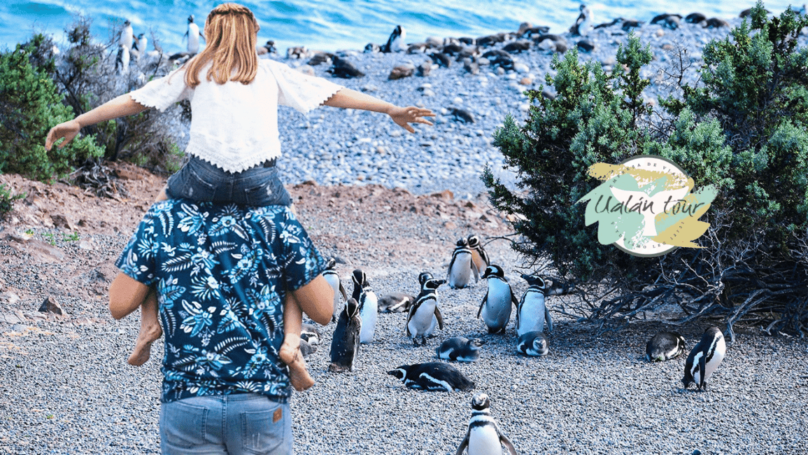Bild Nr. 3 von Puerto Madryn: Punta Tombo Landausflug für Kreuzfahrtgäste Aktivität in Chubut Provinz, hochgeladen vom Anbieter