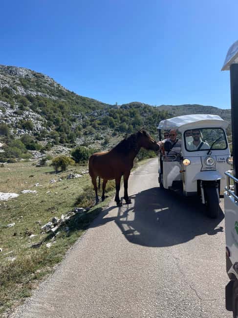 image n.21 of Makarska: Skywalk Tuk-Tuk Tour with Skip-the-Line Ticket activity in Dalmatia, uploaded by supplier