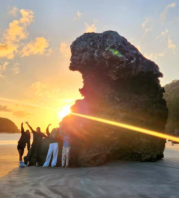 image n.11 of Sunrise with the Kangaroos & Wallabies - Airlie Beach activity in Mackay, uploaded by supplier