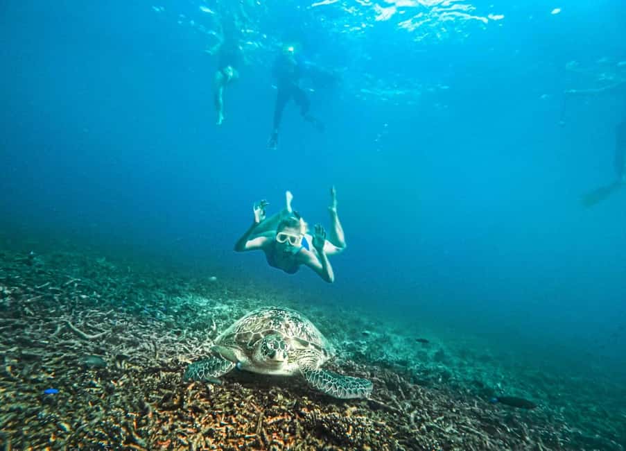 billede nr.21 af aktiviteten Koh Tao: Koh Nangyuan & Hidden Bays snorkeltur med frokost i Thailandbugten, uploadet af udbyder
