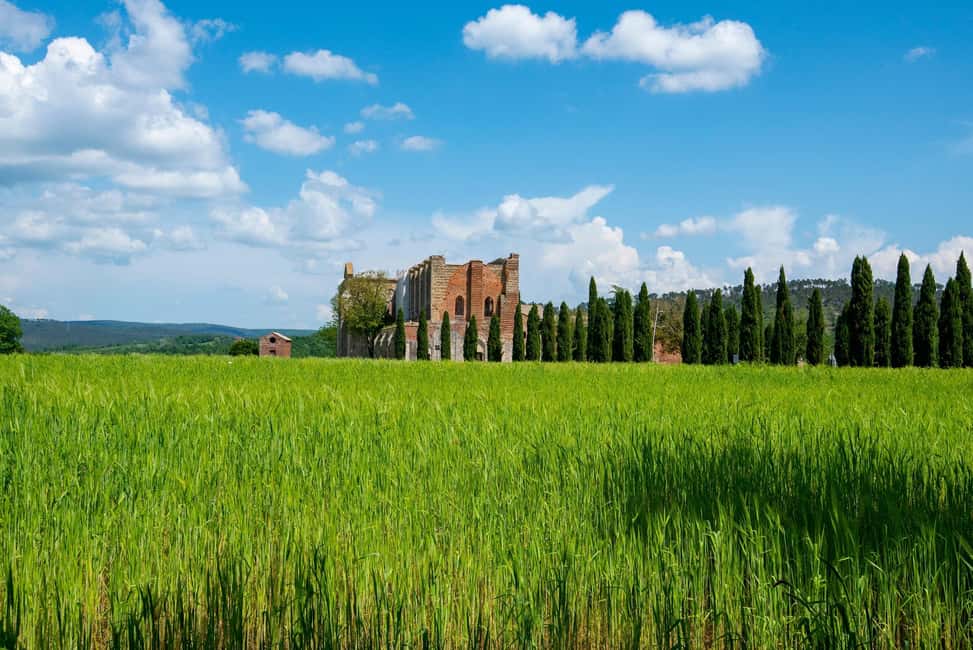 Immagine nº 7 di Tour per piccoli gruppi di San Gimignano, Volterra, Abbazia di San Galgano attività a Chiusdino, caricata dal fornitore