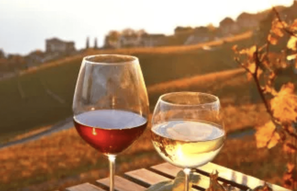 image n.8 of Wine Tasting - Private Half-Day Tour activity in Lisbon, uploaded by supplier