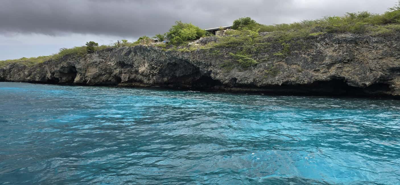 afbeelding n.12 van Privérondvaart over het hele westen (snorkelen met schildpadden) activiteit in Curaçao, geüpload door aanbieder