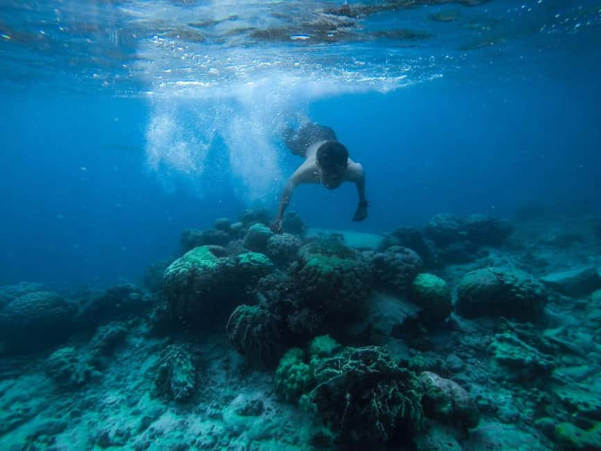 image n.12 of Hurghada: Luxury Cruise Trip to Orange Bay with Lunch activity in Red Sea Governorate, uploaded by supplier