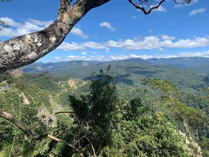 imagem n.7 de Parque Nacional Amboro 2 dias 1 noite atividade em Santa Cruz, carregada pelo fornecedor