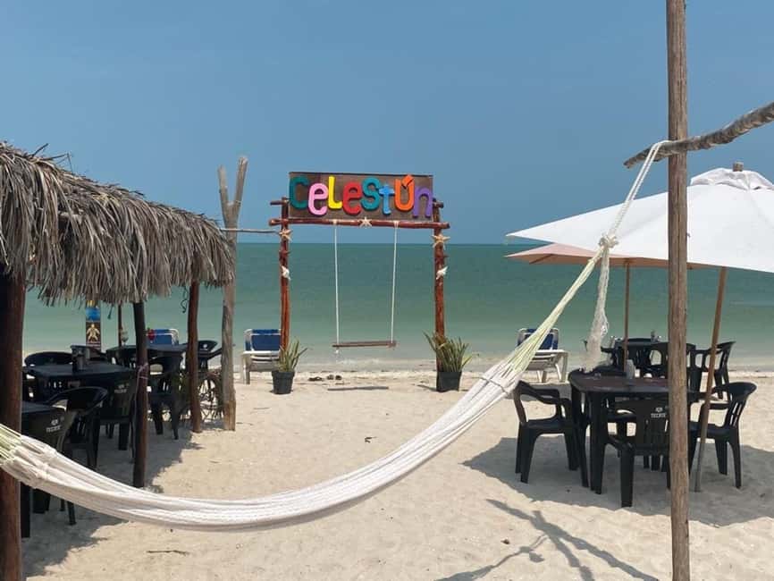 image n.21 of Merida: Celestun Boat Ride Mangrove Experience! Beach Time activity in Celestún, uploaded by supplier