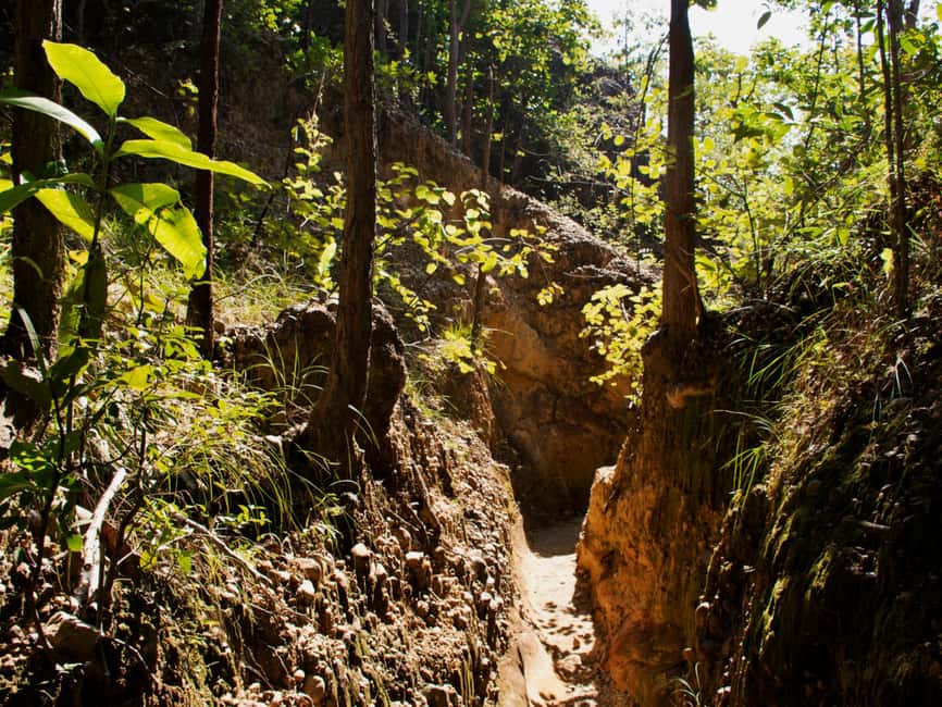 image n.35 of Chiang Mai: Doi Inthanon Park and Pha Dok Siew Trail Trek activity in Chiang Mai, uploaded by supplier