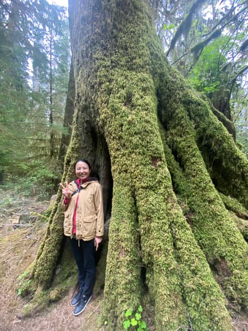 imagem n.10 de Destaques da floresta tropical e do Parque Nacional Olímpico atividade em Port Angeles, carregada pelo fornecedor