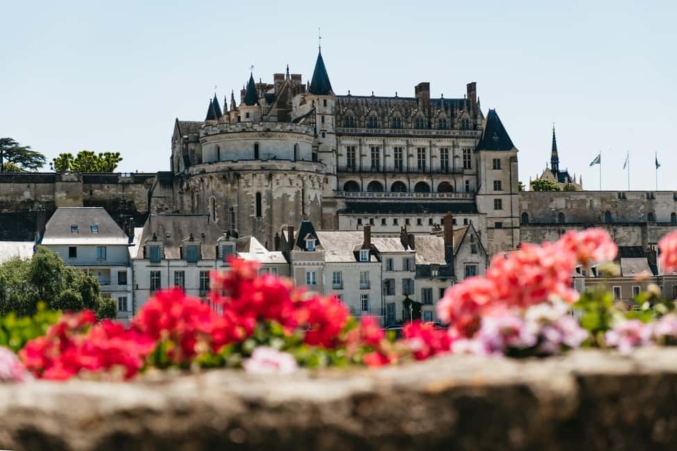 image n.9 of From Paris: Loire Valley Chambord Castle and Wine Tasting activity in Chambord, uploaded by supplier