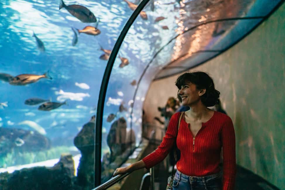 image n.2 of Barcelona: Hop-On Hop-Off Bus & Aquarium Tour activity in Barcelona, uploaded by supplier
