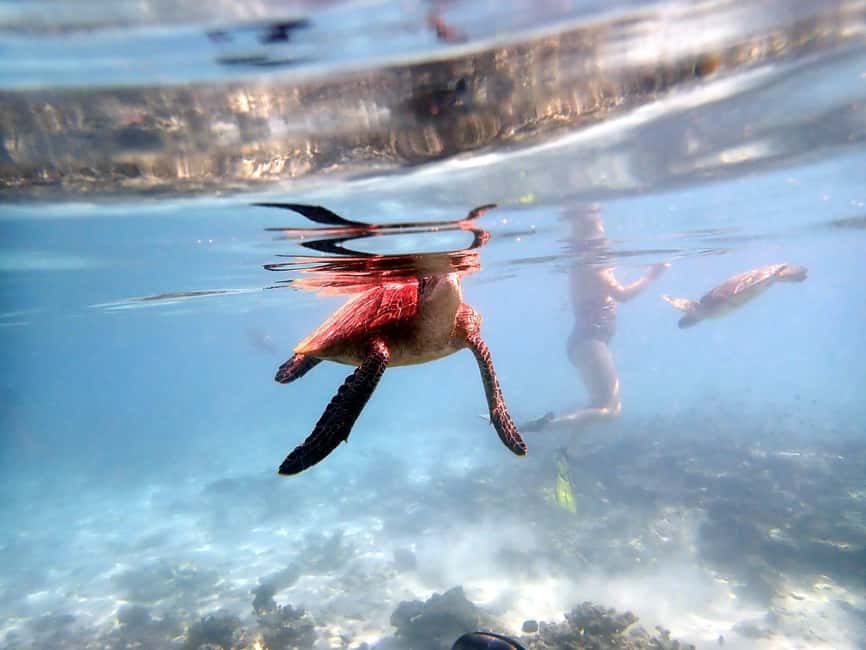Immagine nº 2 di Da Al-Seeb: gita in barca alle isole Dimaniyat con snorkeling attività a Seeb, caricata dal fornitore