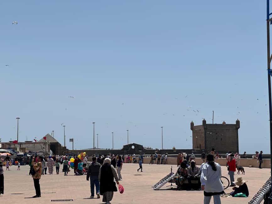 image n.31 of From Marrakech: Essaouira day Trip with camel, horse & quad activity in Essaouira, uploaded by supplier