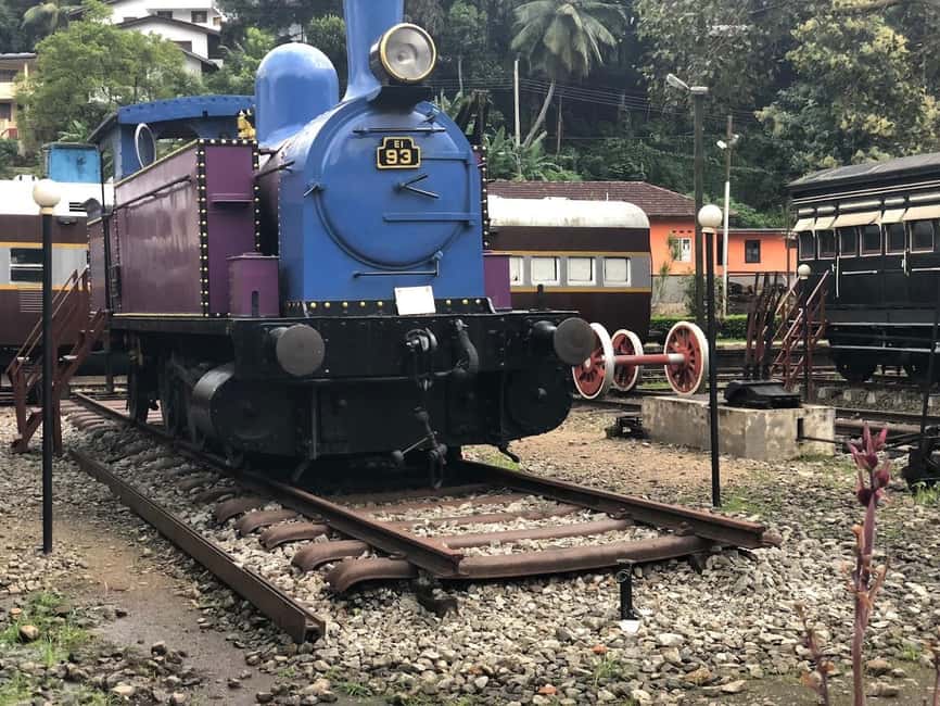 Image N°35 de Kandy, Pinnawala et usine de thé - excursion d'une journée au départ de Negombo activité à Kandy, publiée par le prestataire