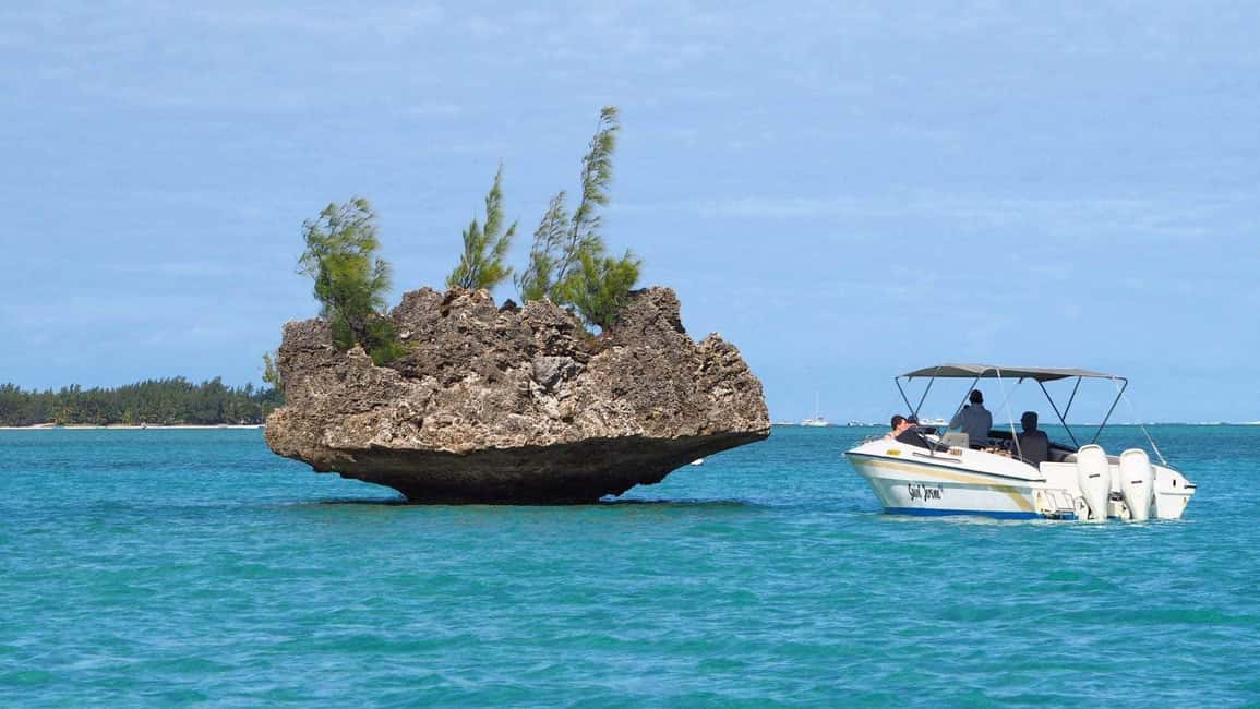 bild nr.3 av Île aux Bénitiers: Simma med delfiner och grilla lunch aktivitet i Mauritius, uppladdad av arrangören