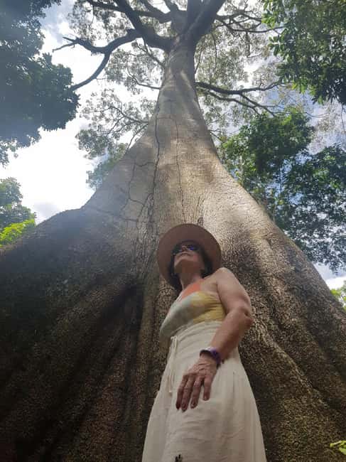 imagen n.º 6 de Safari Amazonas® Manaus: Excursión de un día por el río Amazonas actividad en Manaos, subida por el proveedor