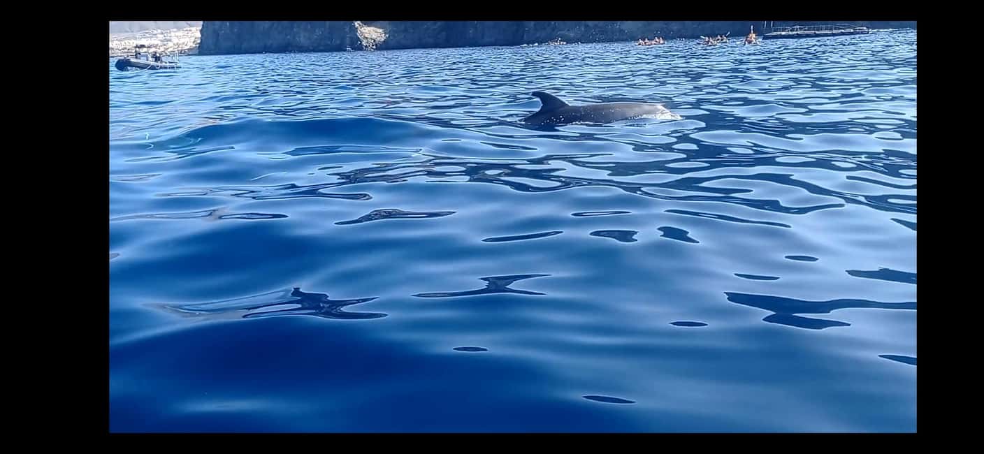 image n.2 of Los Cristianos: Kayak & Snorkel Tour with turtles and photos included activity in Arona, Tenerife, uploaded by supplier