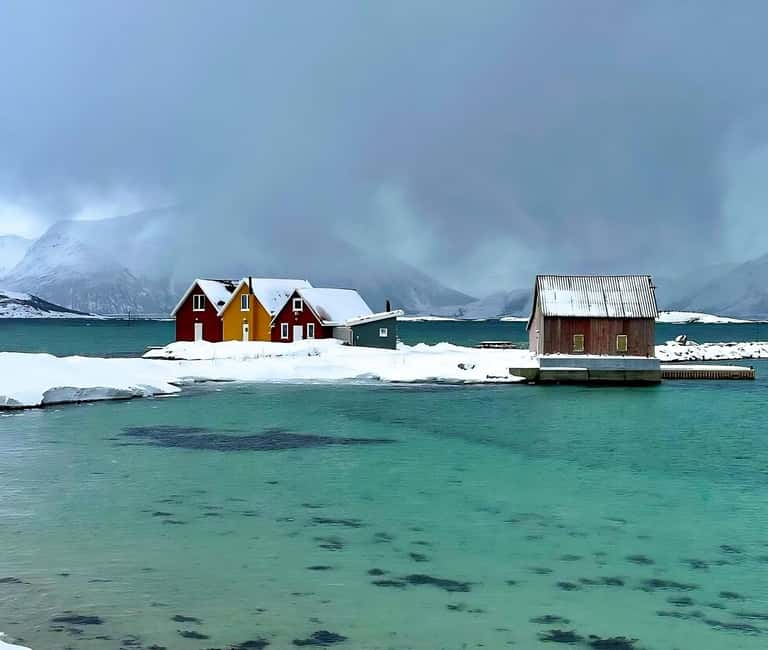 bild nr.14 av Tromsö: Fjordar och Sommarøyöarna med laxpicknick aktivitet i Tromsø, uppladdad av arrangören