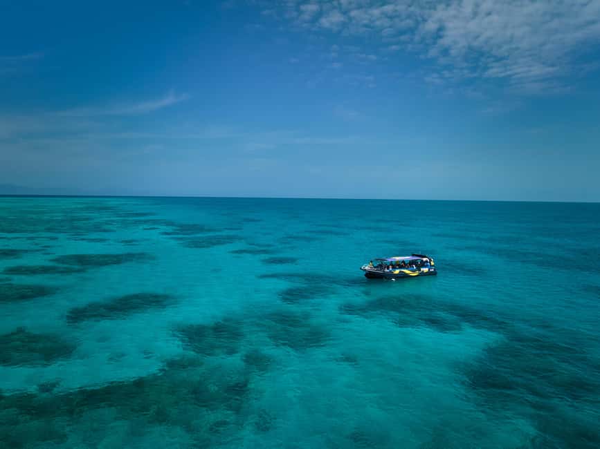 image n.4 of From Cairns: Great Barrier Reef Half-Day Snorkeling Tour activity in Cairns, uploaded by supplier