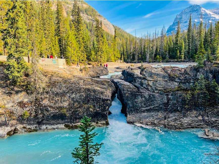 image n.4 of Louise, Moraine, Emerald, Peyto- 4 Lake Tour activity in British Columbia, uploaded by supplier